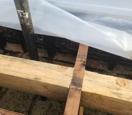 Laurelhurst Apartments Roof Evaluation