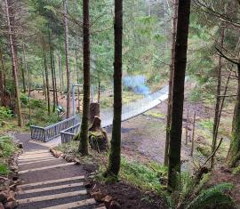 Amanda Trail Pedestrian Bridge 