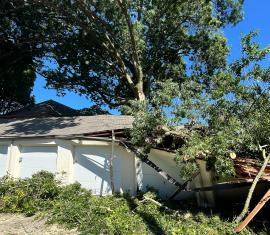 Tree Damage Repair Park View Apartments Portland OR