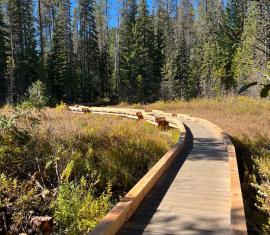 Trillium Lake Trail Boardwalk