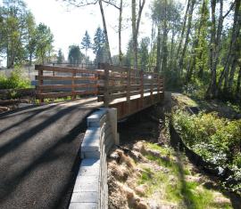 Timberline Estates Pedestrian Bridge