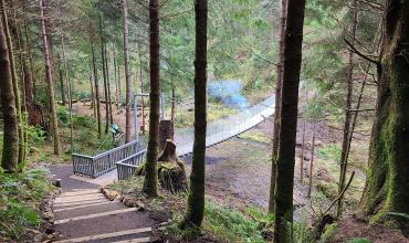 Pedestrian Bridges