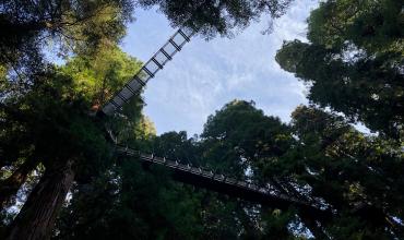 Adventure Courses