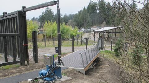 Portland Zoo Elephant Deck