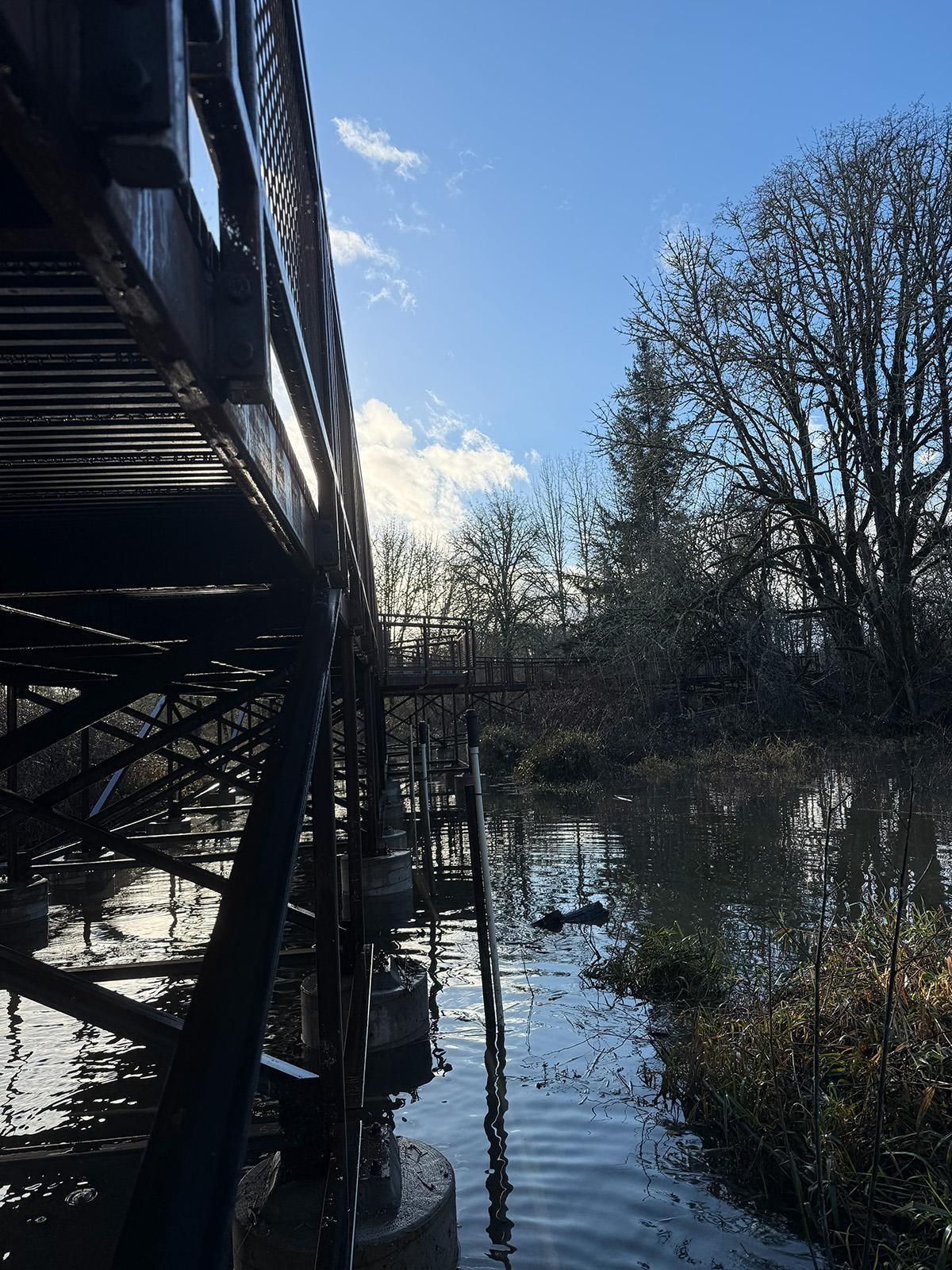 Side view of the boardwalk over the wetland