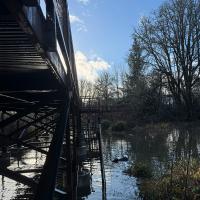 Side view of the boardwalk over the wetland